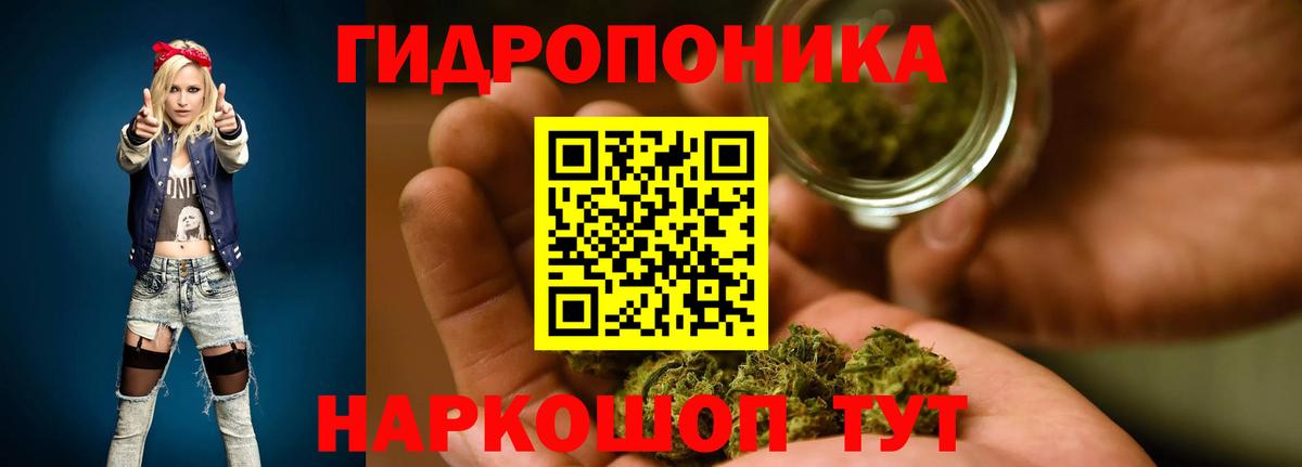 Каннабис Bruce Banner  Бошки марихуана White Widow  Конопля OG Kush  Кингисепп  Вход с VPN 